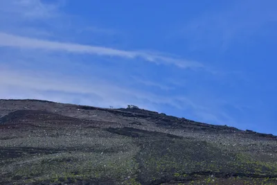 DSC_3654 (Large).JPG